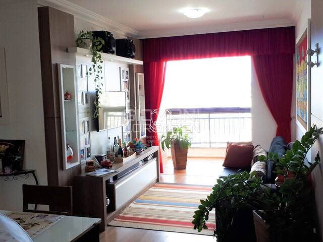 Venda em Kobrasol - São José